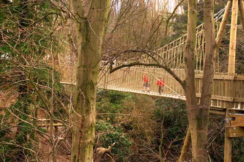 Largest Treehouse