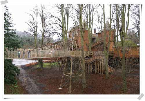 Largest Treehouse