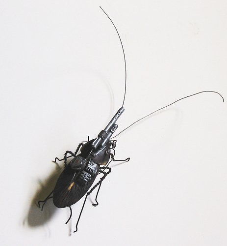 Latex Insects