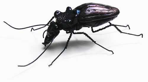 Latex Insects