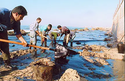 Lebanon Oil Spill