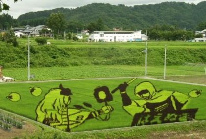 Rice Field Artwork