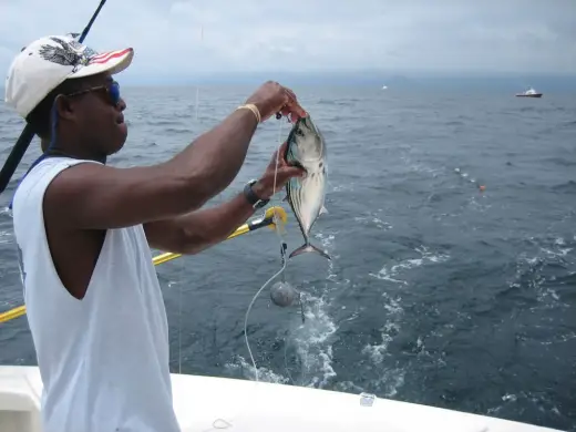 Marlin Fishing