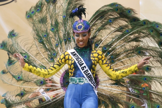 Miss Universe Costumes