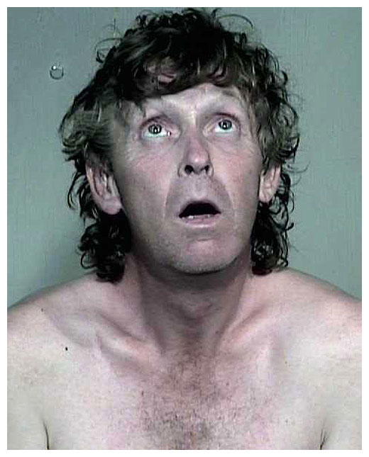 Celebrities Mugshots