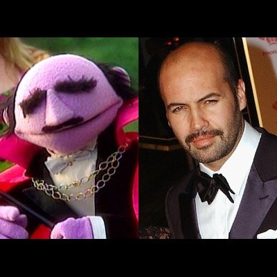 Celebrities That Look Like Muppets