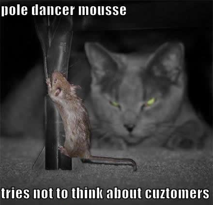 Funny Mouse Pole Dancing