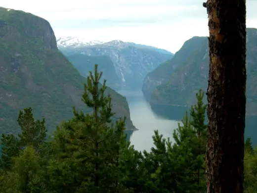 Norway Fjords