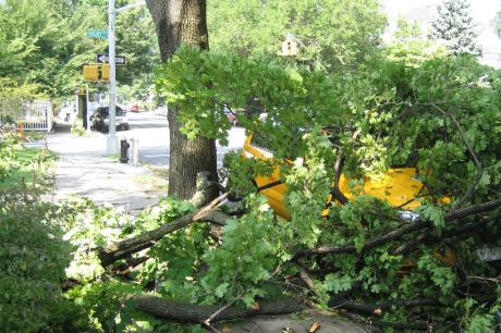 NY Tornado