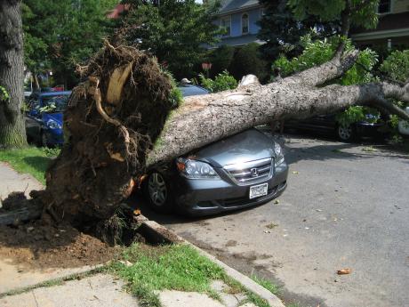 NY Tornado