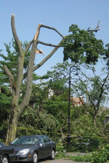 NY Tornado