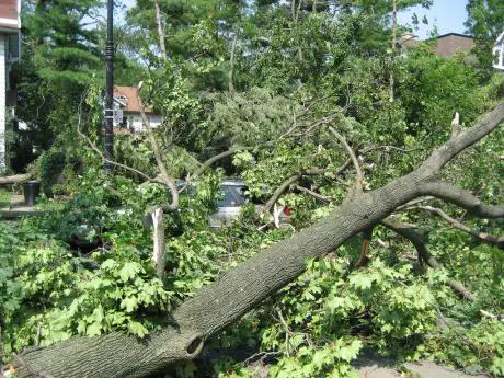 NY Tornado