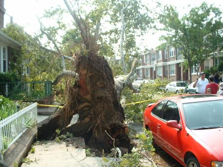 NY Tornado