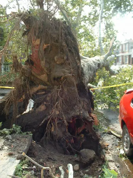 NY Tornado