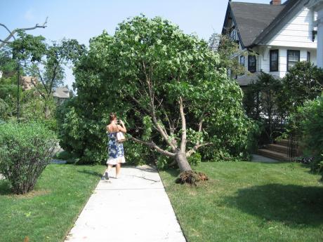 NY Tornado