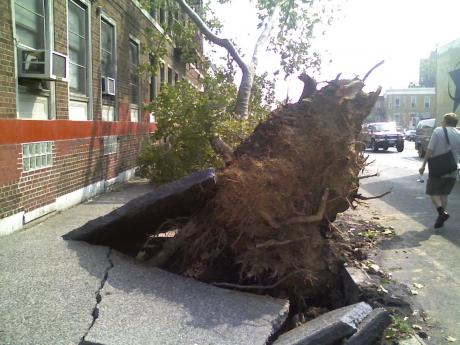 NY Tornado