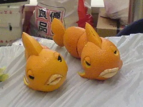 Orange Animals