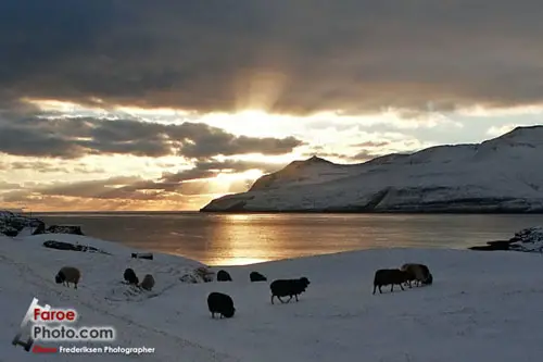 The Faroe Islands