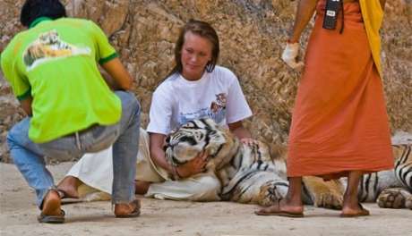 The Tiger Temple