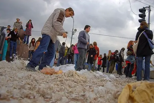 Pillow Fight Flash Mob