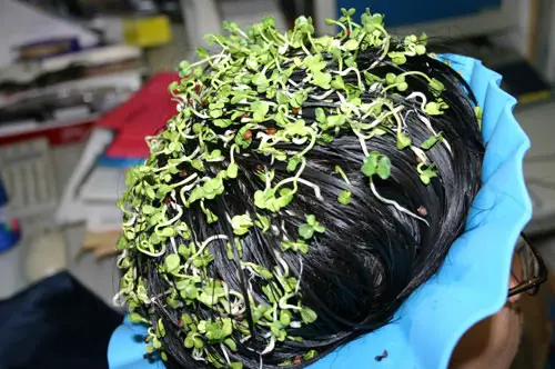 Plant Growing On His Head