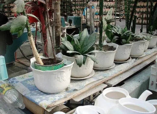 Porcelain Factory