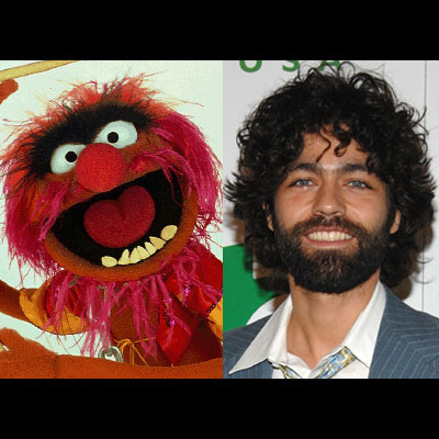 Celebrities That Look Like Muppets