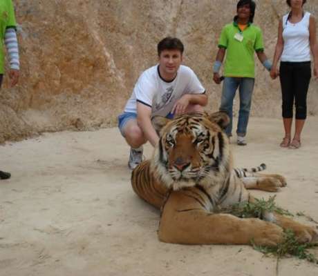 The Tiger Temple