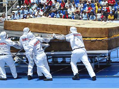 World's Largest Sandwich