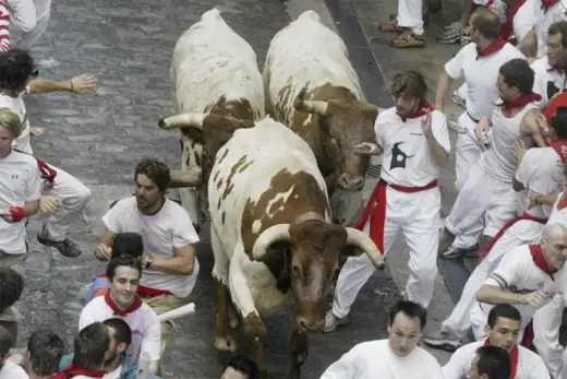 San Fermin Bull Run