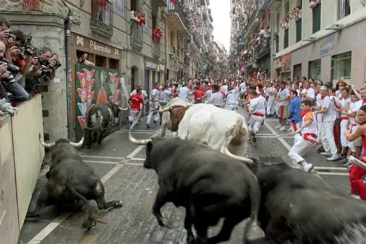 San Fermin Bull Run