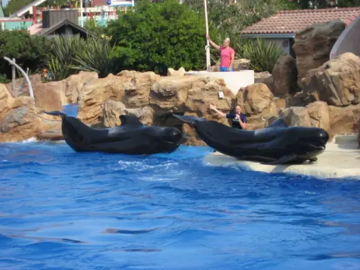 Sea World Revisited