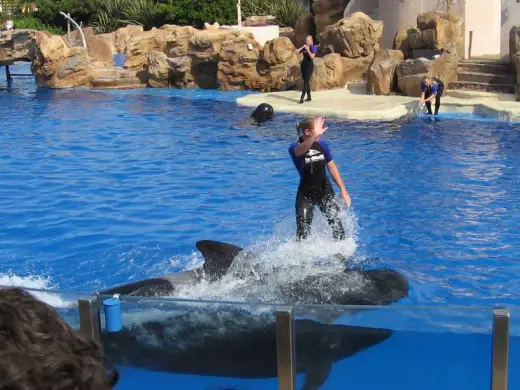 Sea World Revisited