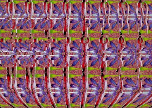 Stereograms