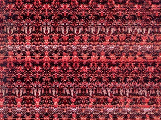 Stereograms