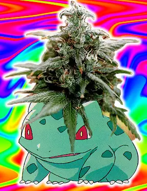 Tokemon