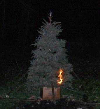 Burning Your Christmas Tree