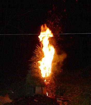 Burning Your Christmas Tree