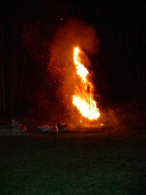 Burning Your Christmas Tree