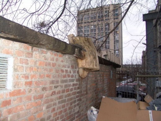 Tree vs Wall