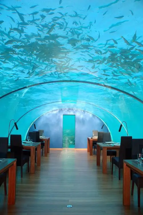 Another Underwater Restaurant