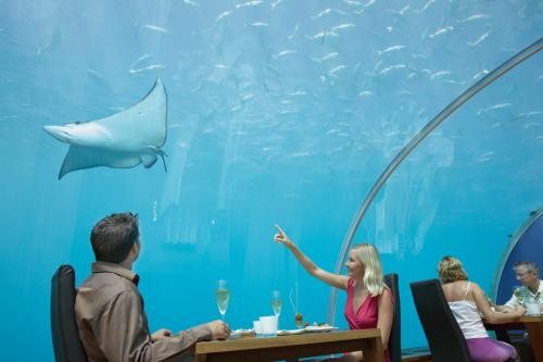 Another Underwater Restaurant