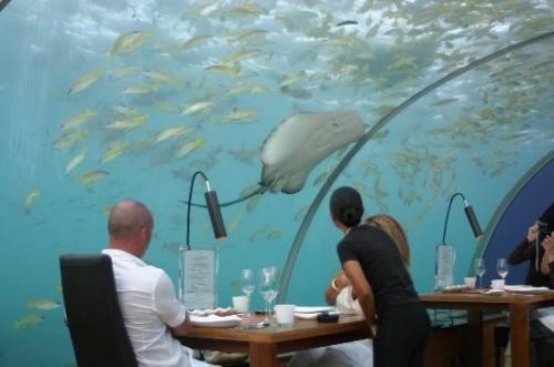 Another Underwater Restaurant