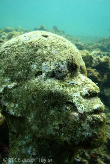 Underwater Sculptures