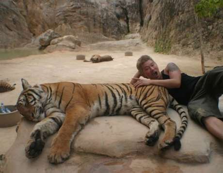 The Tiger Temple