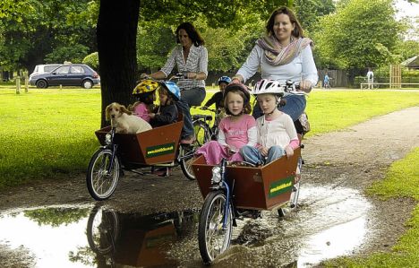 Wheelbarrow Bike