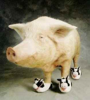 Cow Slippers