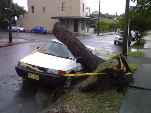 Watch Where You Park