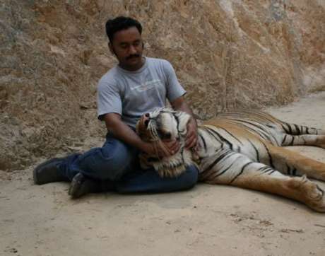 The Tiger Temple