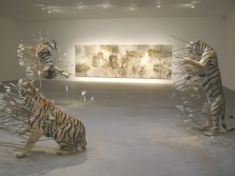 Wolves and Tigers